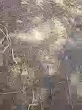 Cute Boy 4 online show from March 2026 08:42:02 AM