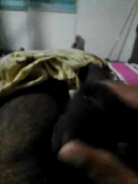 FlatBlackboard online show from February 2026 05:44:01 PM