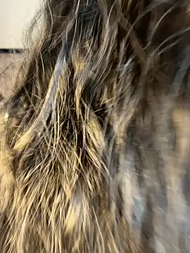 Snapshot of Denise_wolfe21 chatting on February 2026 07:43:01 PM Denise wolfe21 online show from February 2026 07:43:01 PM