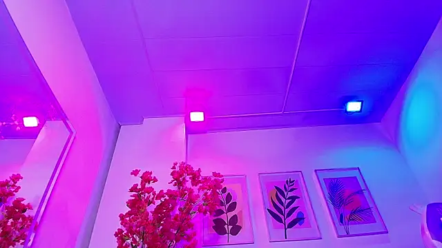 Snapshot of Maddie_T18 chatting on February 2026 11:42:02 PM Maddie T18 online show from February 2026 11:42:02 PM