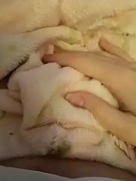 Snapshot of CutxeFrench chatting on March 2026 10:33:01 AM CutxeFrench online show from March 2026 10:33:01 AM