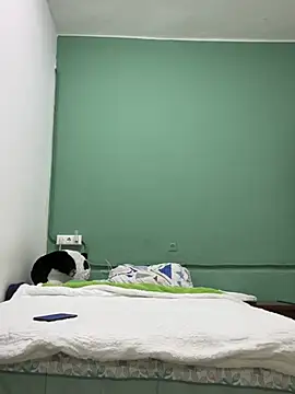 DavShi online show from February 2026 10:30:02 PM