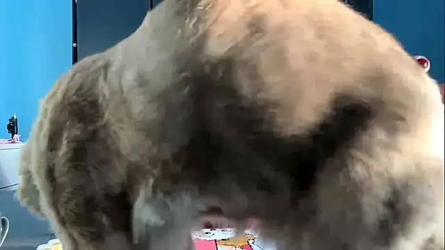 AndreeMerryman online show from February 2026 08:08:02 AM