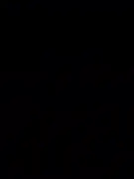 bigbooietx online show from March 2026 02:50:02 AM