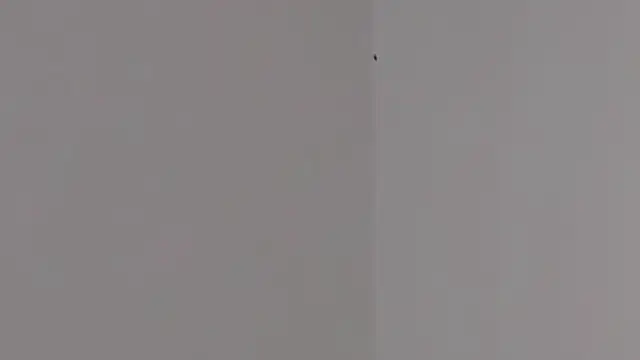 Lilith pink29 online show from February 2026 03:37:01 AM