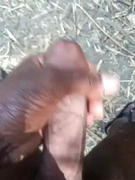 kalai 32 online show from February 2026 06:10:02 AM