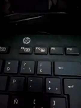 Snapshot of dallm5 chatting on February 2026 02:38:01 PM dallm5 online show from February 2026 02:38:01 PM