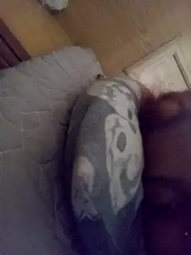 Snapshot of loveofpetitegirls34 chatting on February 2026 08:26:01 AM loveofpetitegirls34 online show from February 2026 08:26:01 AM