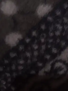 Snapshot of ravimandal chatting on February 2026 06:58:02 PM ravimandal online show from February 2026 06:58:02 PM