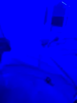 Snapshot of bojo69 chatting on February 2026 12:12:01 PM bojo69 online show from February 2026 12:12:01 PM