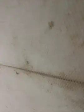 Miu Xinh online show from April 2026 05:06:02 PM