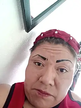 perrit17 online show from February 2026 11:48:01 PM