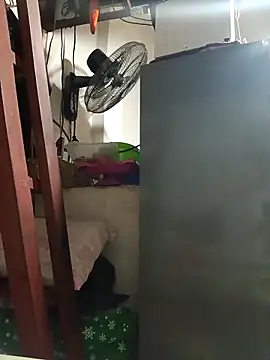 Wildcam21 online show from February 2026 04:30:01 AM