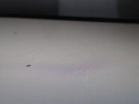 AlyssaBrown online show from February 2026 07:04:01 PM