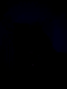 Telugucouple69 online show from February 2026 10:17:02 PM