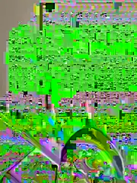 pussyeater - online show from August 2026 06:37:01 AM
