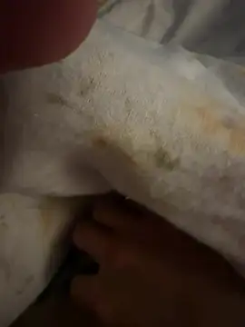 Snapshot of sbollando13 chatting on February 2026 07:56:01 AM sbollando13 online show from February 2026 07:56:01 AM