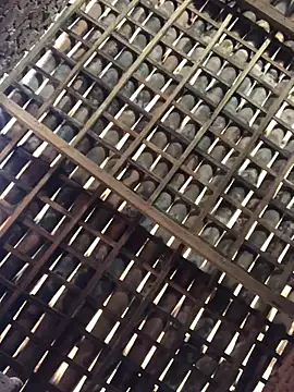 Snapshot of novinhavip777 chatting on February 2026 02:10:01 PM novinhavip777 online show from February 2026 02:10:01 PM