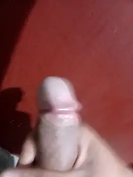 Snapshot of papi23l chatting on February 2026 07:47:01 AM papi23l online show from February 2026 07:47:01 AM