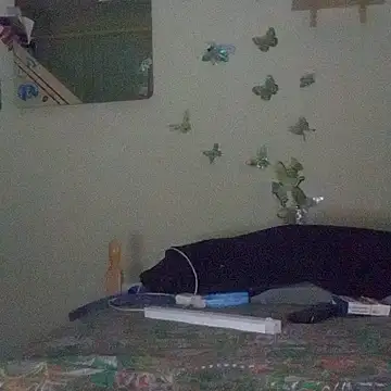 Porcellini2269 online show from April 2026 09:26:02 PM