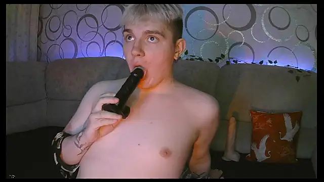 heatctrl online show from March 2026 06:43:01 PM