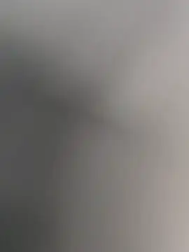 anitamadrid online show from February 2026 02:36:01 PM