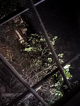 Snapshot of Premcouple88 chatting on April 2026 06:03:01 PM Premcouple88 online show from April 2026 06:03:01 PM