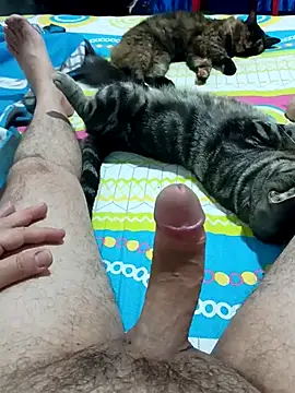 JFC161612 online show from April 2026 06:14:01 AM