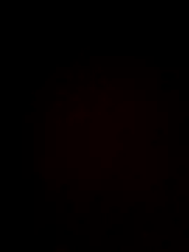 plump-bums online show from February 2026 12:56:01 PM