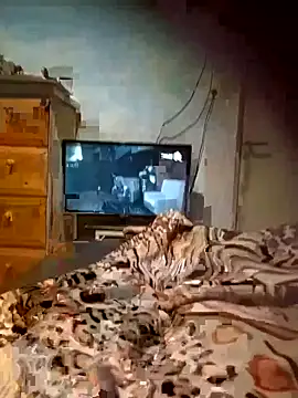 Morocha exotica00 online show from March 2026 05:56:02 AM