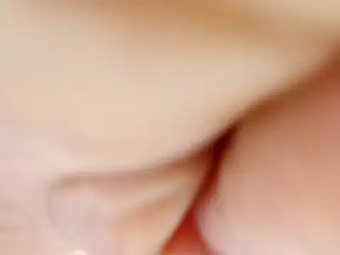 Elii petit online show from May 2026 03:13:01 AM