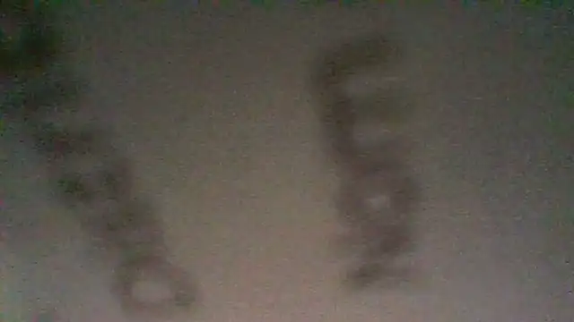 BonneQueueBonjour online show from March 2026 04:35:01 PM