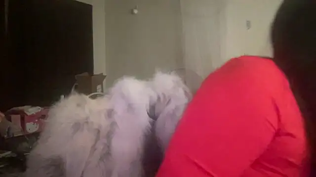 Snapshot of FarahKatt chatting on February 2026 03:58:01 AM FarahKatt online show from February 2026 03:58:01 AM