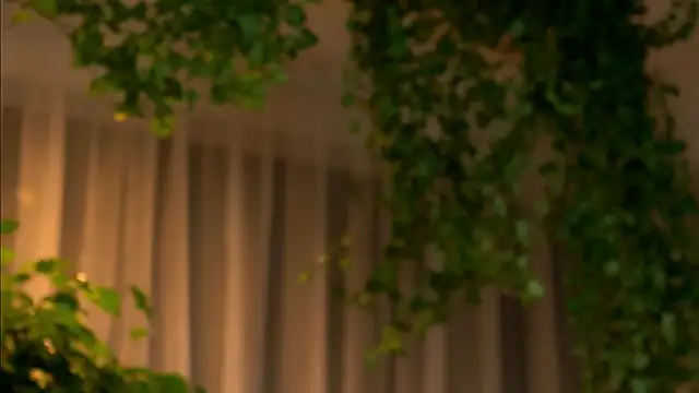 TheMaddisonShow  online show from March 2026 03:56:01 AM