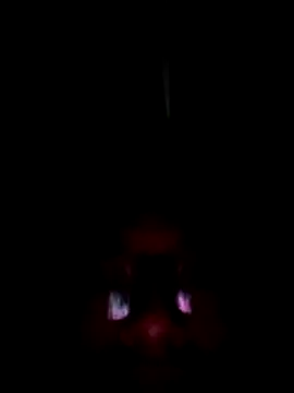 Rebexperience online show from March 2026 06:28:02 AM