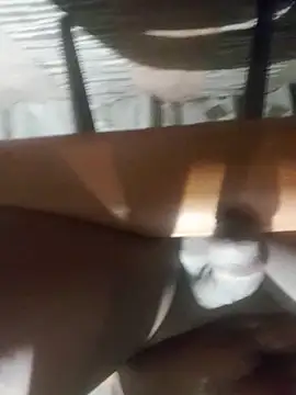 Cookiesucker2025 online show from March 2026 11:55:02 PM