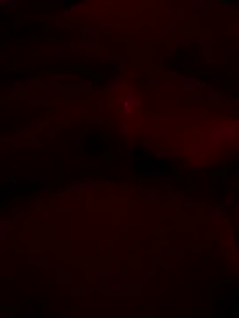 Snapshot of shark822 chatting on May 2026 08:21:02 PM shark822 online show from May 2026 08:21:02 PM