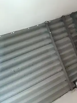 Snapshot of Little-Pussy19 chatting on February 2026 03:43:01 PM Little-Pussy19 online show from February 2026 03:43:01 PM