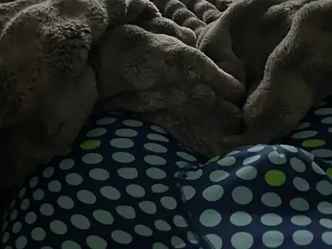 kakarot241515 online show from March 2026 02:08:02 AM