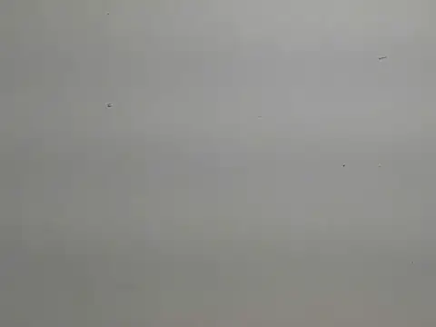 risu 00 online show from March 2026 03:30:02 PM