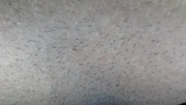 machodotado97 online show from March 2026 05:13:02 AM