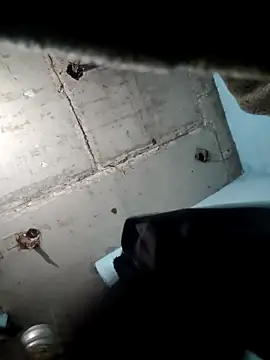 M Lisha online show from February 2026 06:39:02 PM