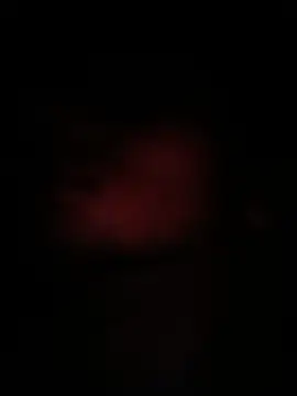 peanutbutteater online show from June 2026 02:28:02 PM