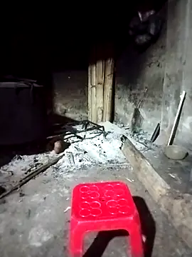 Snapshot of ngocbao11 chatting on March 2026 12:12:01 AM ngocbao11 online show from March 2026 12:12:01 AM