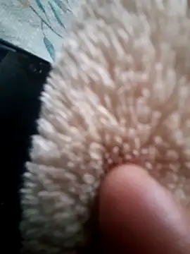 iambesting online show from February 2026 11:22:02 AM