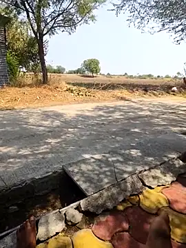 Fantasy King 3939 online show from March 2026 08:43:01 AM