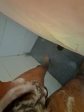 Edu235 online show from March 2026 02:50:01 PM