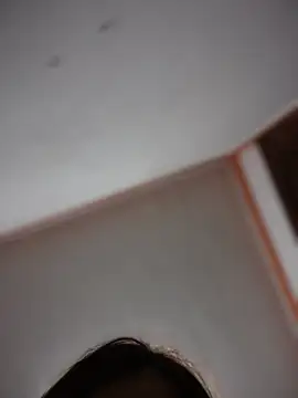 Channel Connor online show from June 2026 11:03:01 AM