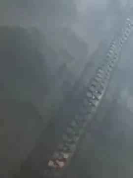 Bona68 online show from February 2026 02:42:02 AM