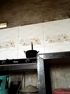 elen8800 online show from April 2026 03:35:02 AM